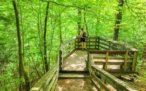 Hemlock Bluffs Nature Preserve Cary NC